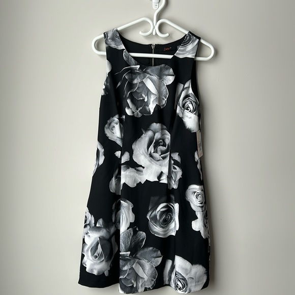 Dex Dresses & Skirts - black and white dress